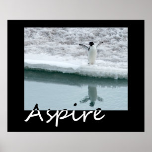 Póster Aspire