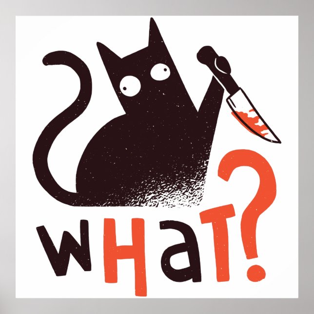 Poster Assassinato Gato Engraçado (Frente)