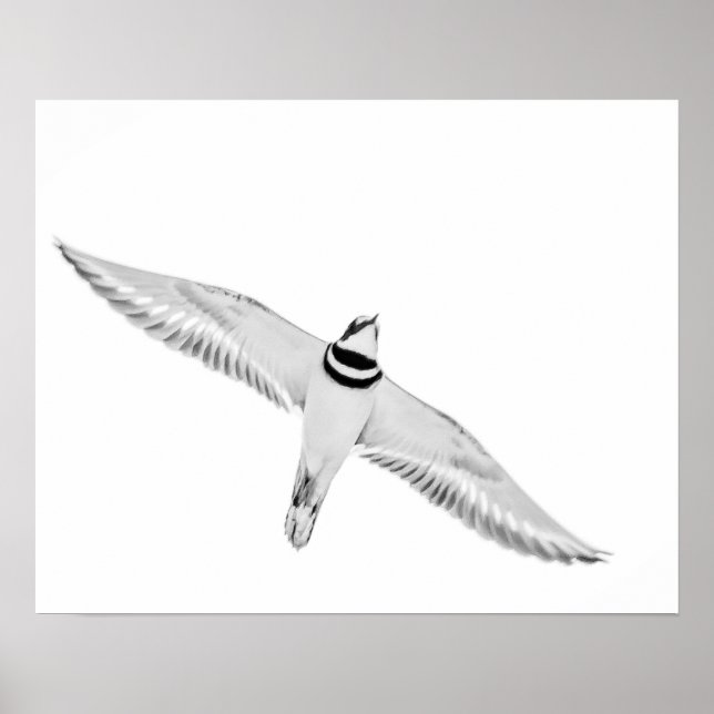 Poster Assassinos em alta velocidade (Frente)