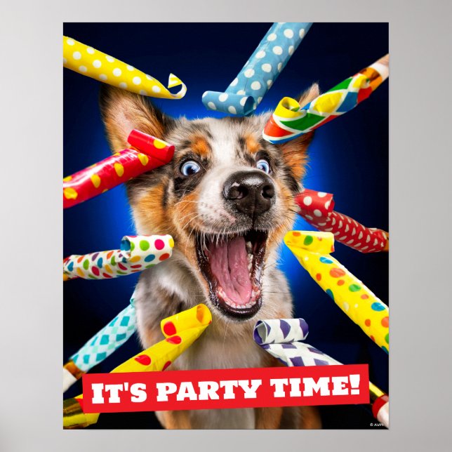 Poster Assopradores de Festa de Cachorro Feliz (Frente)