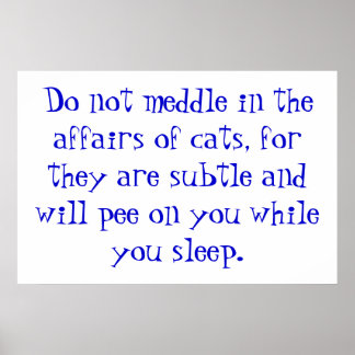 Poster Assuntos dos Gatos