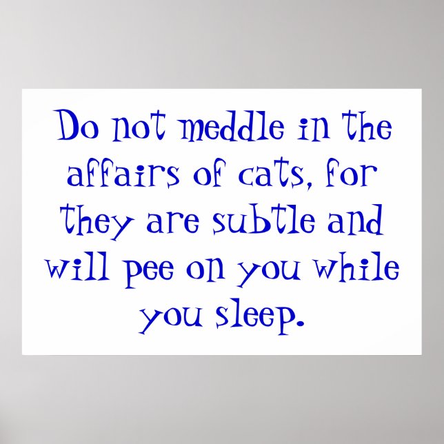 Poster Assuntos dos Gatos (Frente)