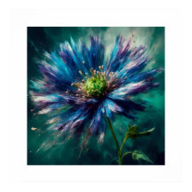 Aster Blossom impressionante