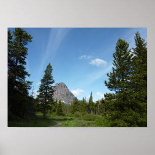 Póster Aster Park Trail no Glacier National Park