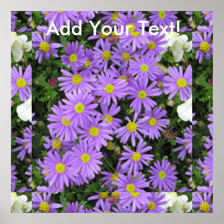 Póster Aster Purple Yellow Green