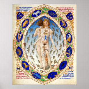 PÓSTER ASTROLOGIA ANTICA, MICROCOSMO E SINAIS ZODIACAIS