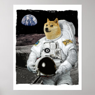 Poster Astronauta de doogecina