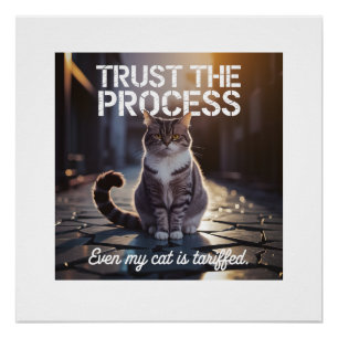 Póster Até Meu Gato É Tarifado - Confie no Processo