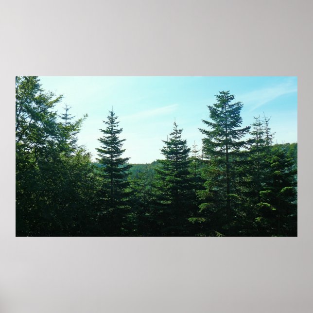 Póster Até Onde O Olho Consegue Ver (Frente)