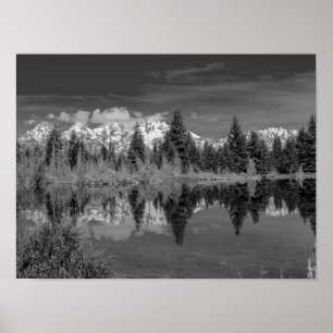 Poster Aterragem de Schwabacher