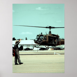 Poster Aterrando o pássaro