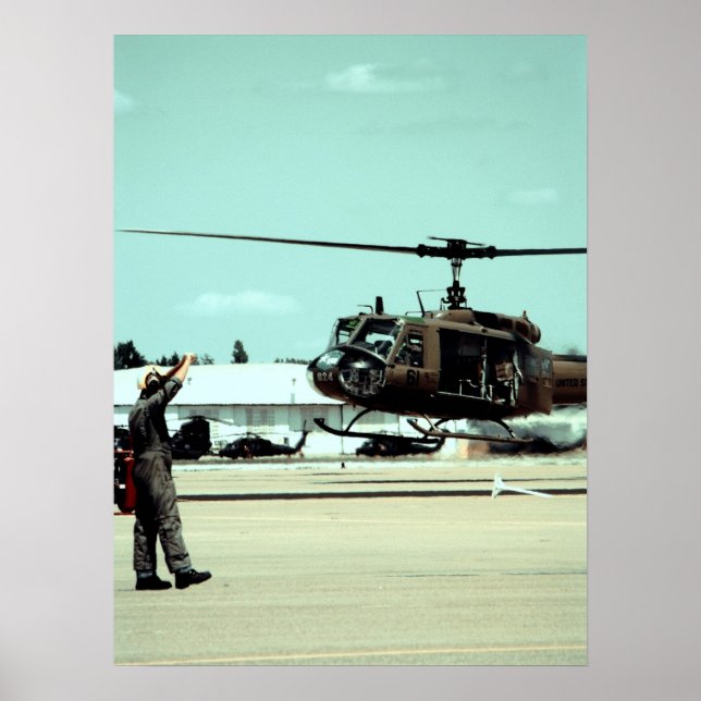 Poster Aterrissando a ave (Frente)