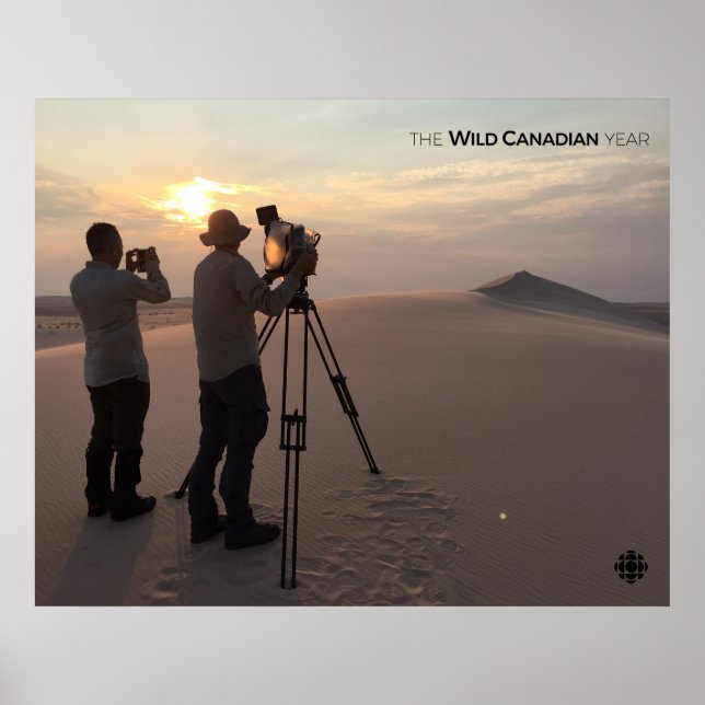 Póster Athabasca Sand Dunes (Frente)