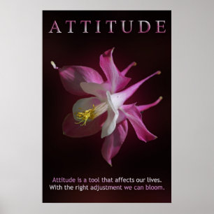 Poster Atitude