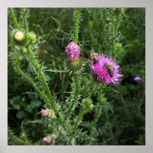 Póster Atividade de verão