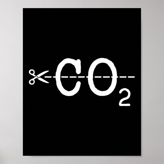 Poster Ativismo das Alterações Climáticas no Dia da Terra (Frente)