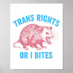 Poster Ativista Lgbtq Direitos Transgéneros De Igualdade