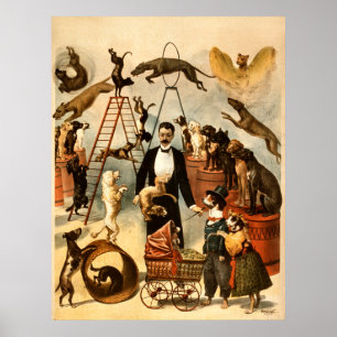 Póster Ato treinado 1899 do cão - ato de circo do vintag