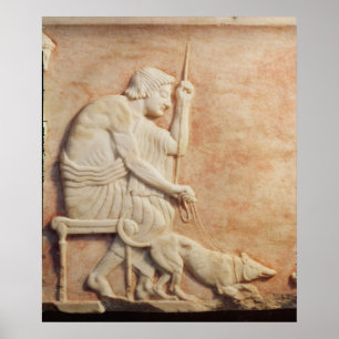 Poster Atracção animal