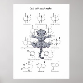 Poster Atraente de gato