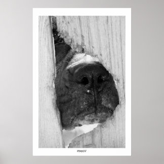 Poster Através da cerca