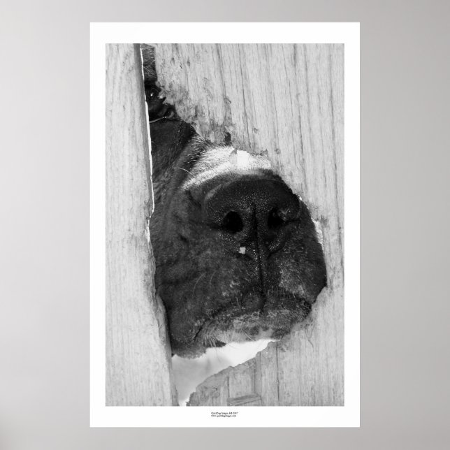 Poster Através da cerca (Frente)