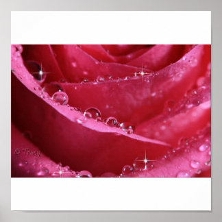 Póster Através Da Janela De Luz