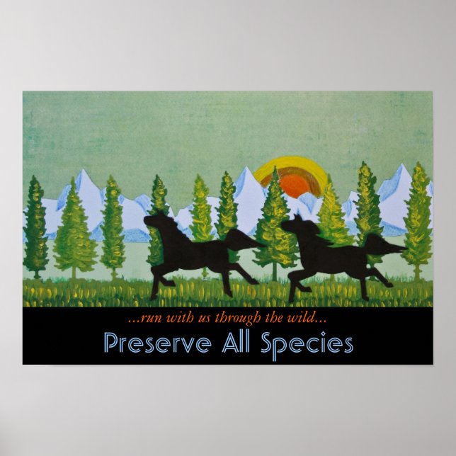 Póster Através da Natureza (Frente)