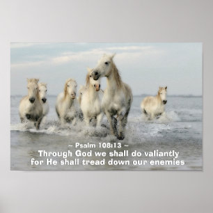 Poster Através do deus nós faremos Valiantly o 108:13 d