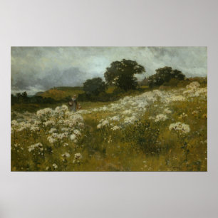 Póster Através dos campos