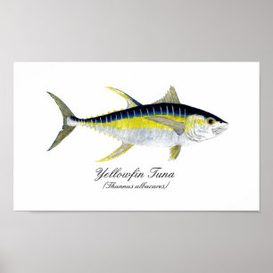 Póster Atum de atum amarelo
