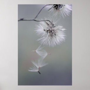 Poster Au Revoir Sementes de Flor de outono, deixando CC0
