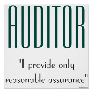 Póster "Auditor: Só Ofereço Garantias Razoáveis"