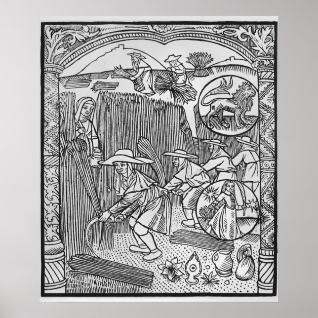 Póster August, colheita, Leo (Frente)