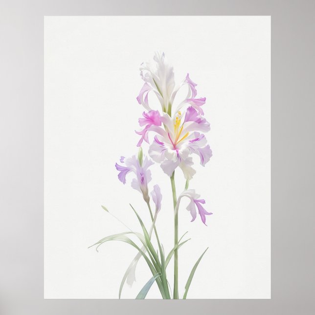 Poster August Gladiolus Birth Flower (Frente)