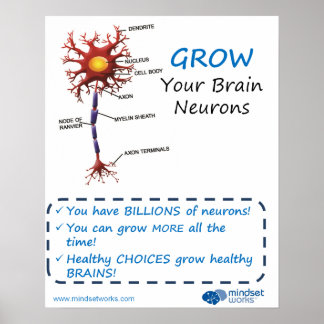 Poster Aumente seus neurônios cerebrais Brainology® Poste