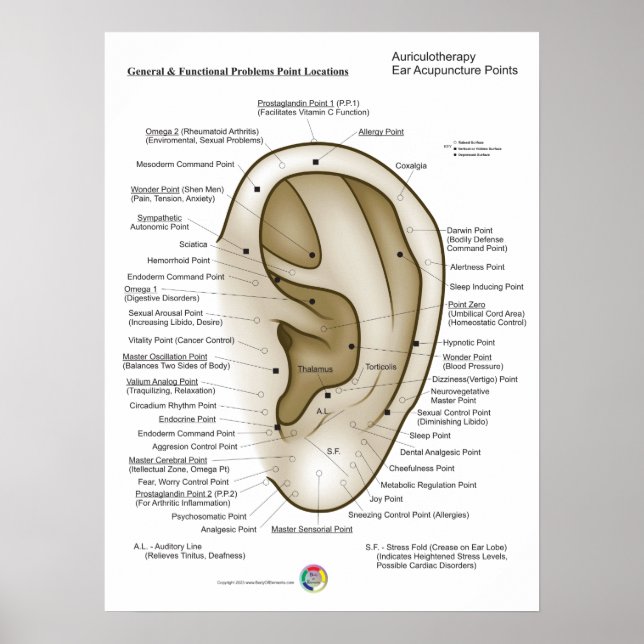 Poster Auriculotherapy Ear Acupuncture (Frente)