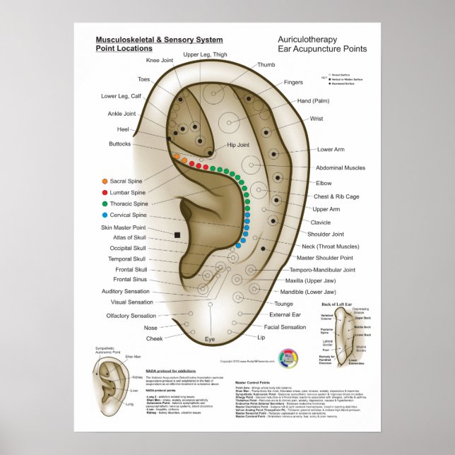 Poster Auriculotherapy Ear Acupuncture (Frente)