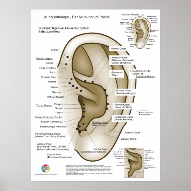 Poster Auriculotherapy Ear Acupuncture (Frente)