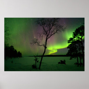 Póster Aurora