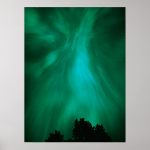 Poster Aurora Boreal Noturna   Ontário, Canadá