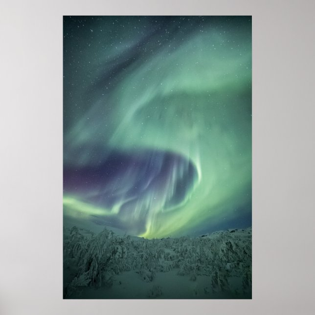 Poster Aurora Borealis (Frente)