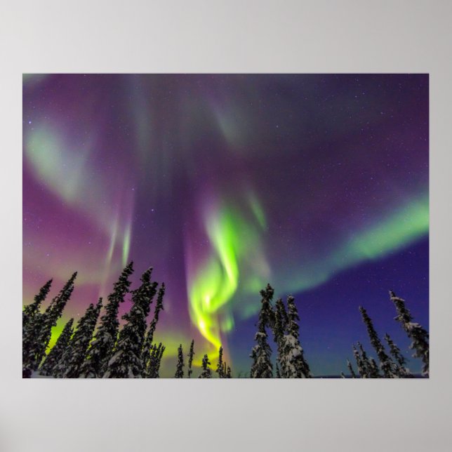 Poster Aurora Borealis | Fairbanks, Alaska (Frente)