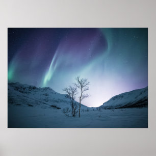 Poster Aurora Borealis Night