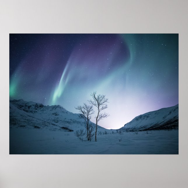 Poster Aurora Borealis Night (Frente)
