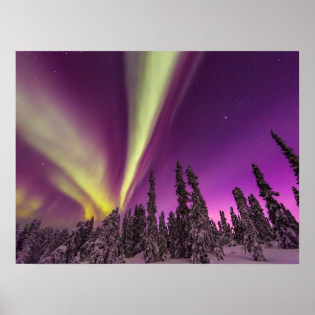 Poster Aurora Borealis Norte Luzes Fairbanks Alasca (Frente)