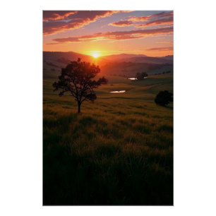 Póster Aurora do Silêncio