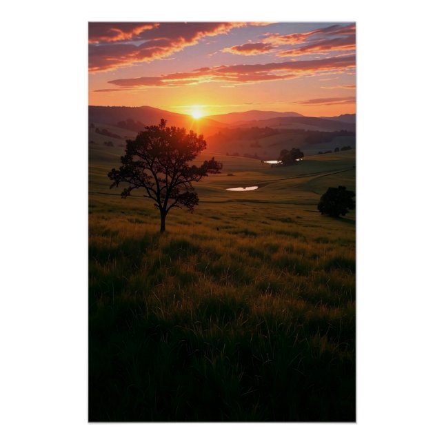 Póster Aurora do Silêncio (Frente)