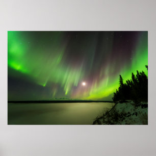 Póster Aurora Majestosa