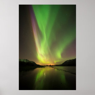 Poster Aurora multicolor